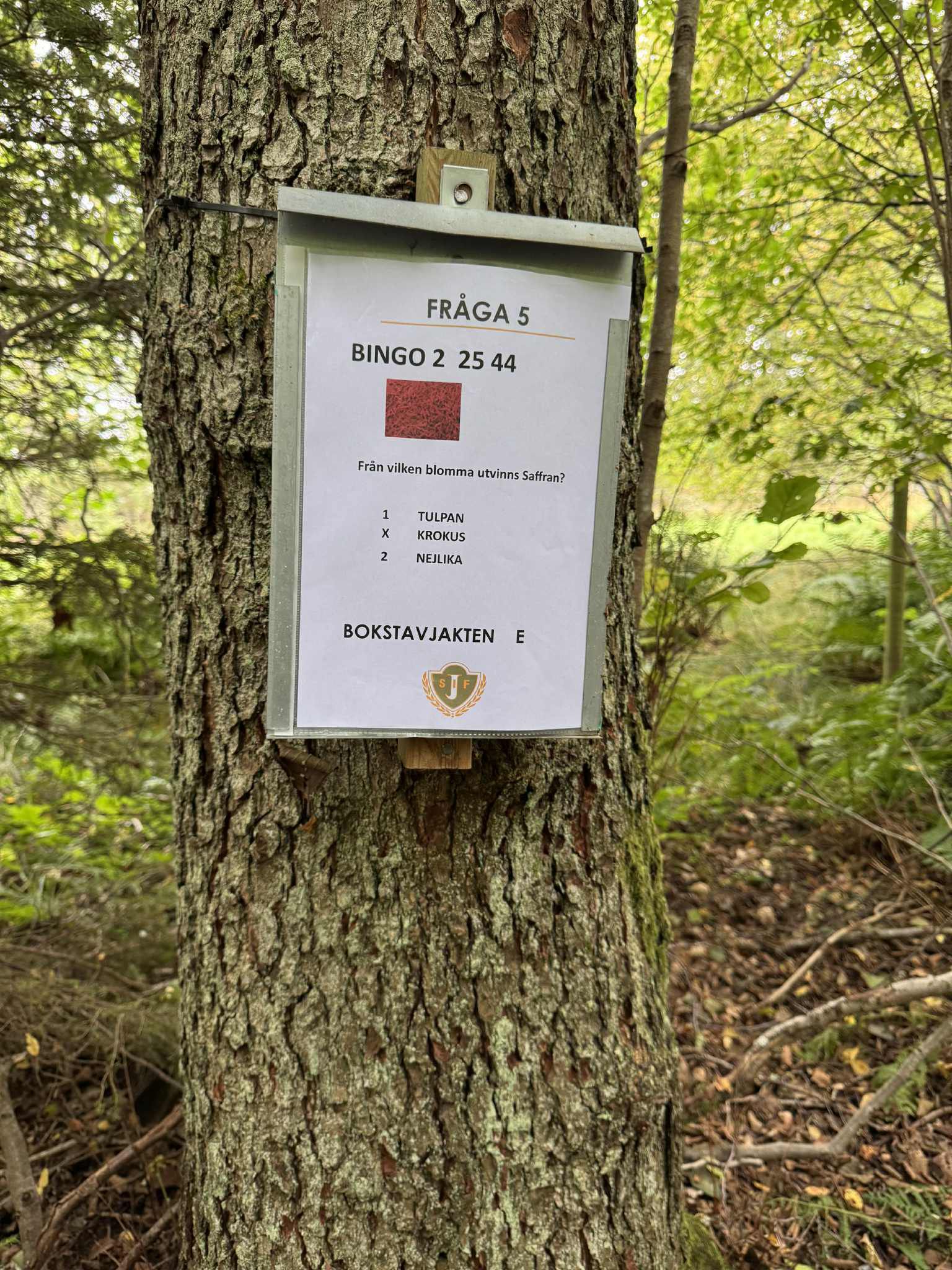 Whatsapp Image 2025 09 20 At 15.05.45